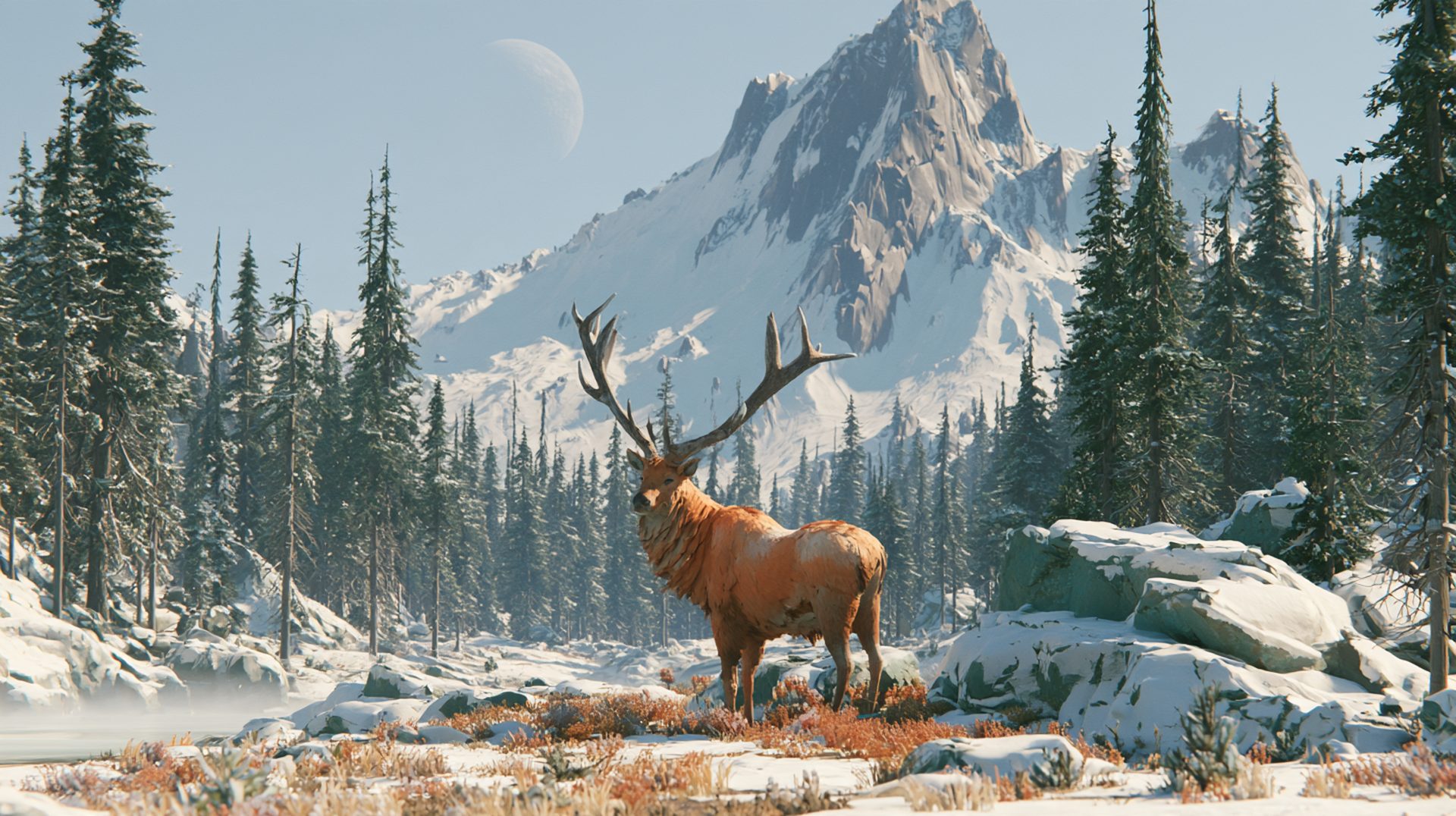 A great stag at the taiga forest edge in dead winter
